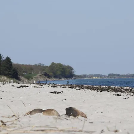 Bridgette - 100m From The Sea By Interhome